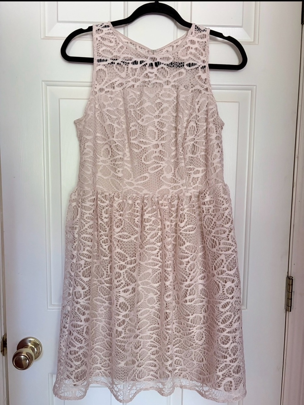 Sandra Darren Sleeveless Lace Fit & Flare Dress